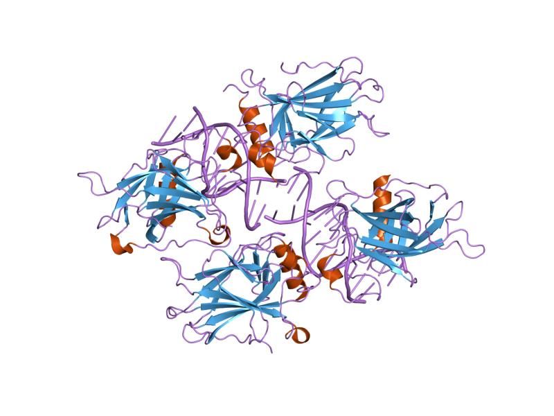 File:PDB 2ata EBI.jpg