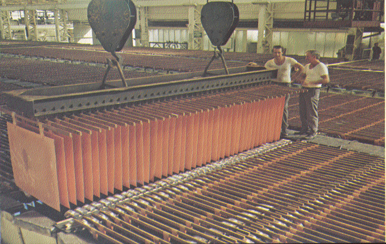 File:Rack of copper cathode starter sheets.png