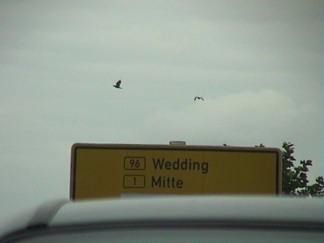 File:Wedding Germany.jpg