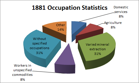 File:1881 Occupation statistics.png