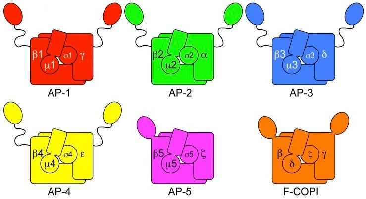 File:5APsAndCOPIFc.jpg