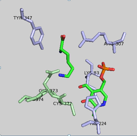 File:DAPDC Active Site.png