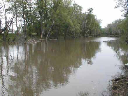 File:Iroquois River.jpg