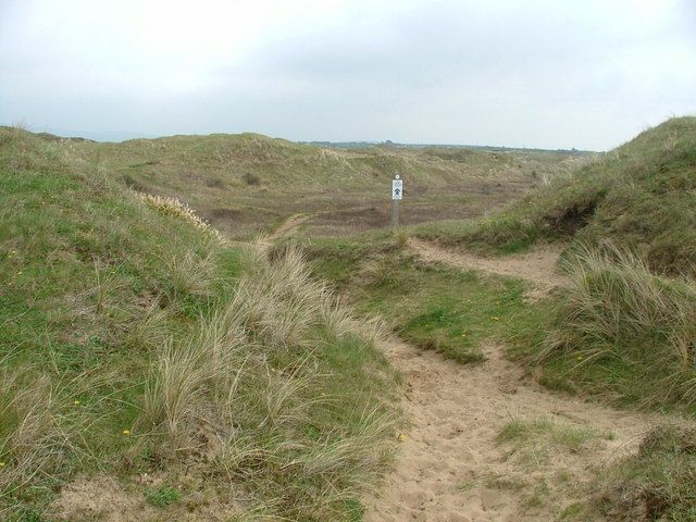 File:Kenfig Burrows - geograph.org.uk - 161888.jpg