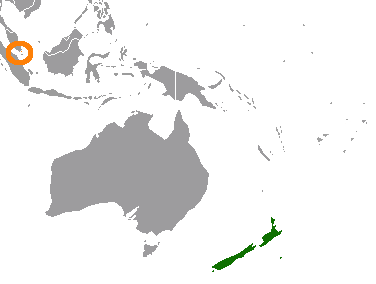 File:New Zealand Singapore Locator.png