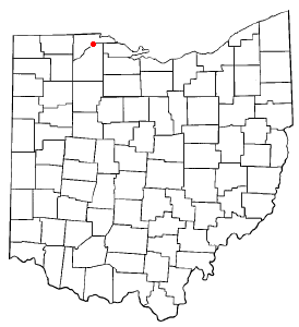 File:OHMap-doton-Rossford.png