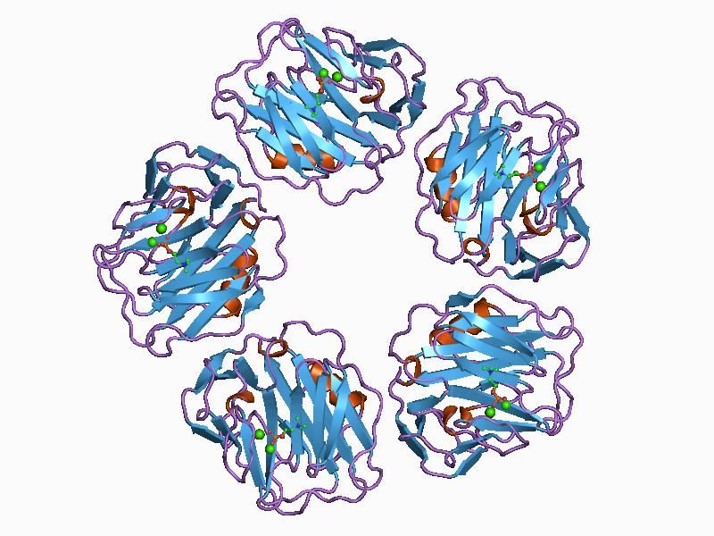 File:PDB 1b09 EBI.jpg