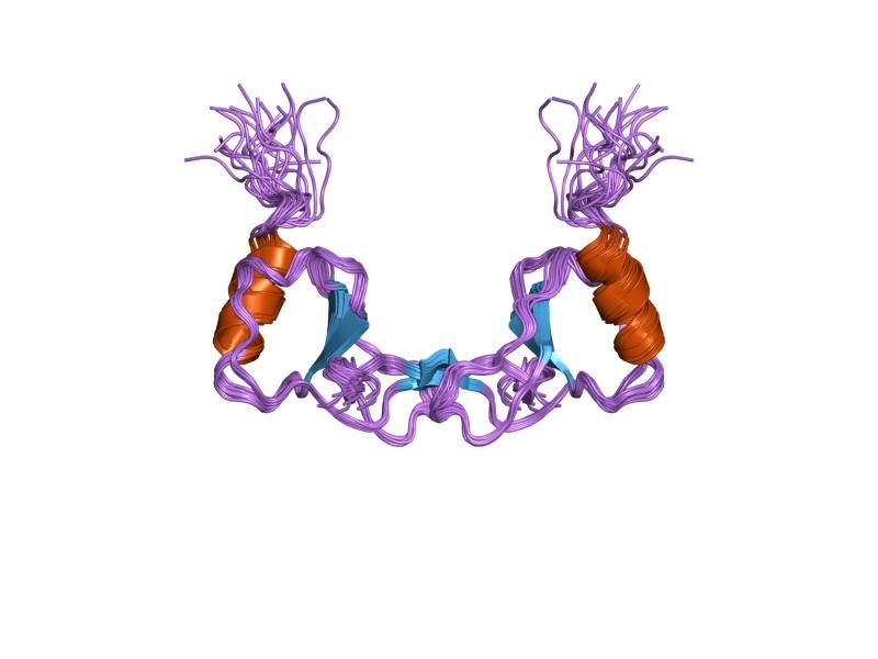 File:PDB 1don EBI.jpg