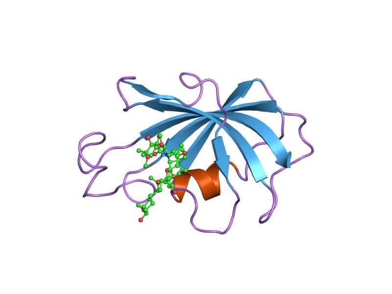 File:PDB 1fkd EBI.jpg