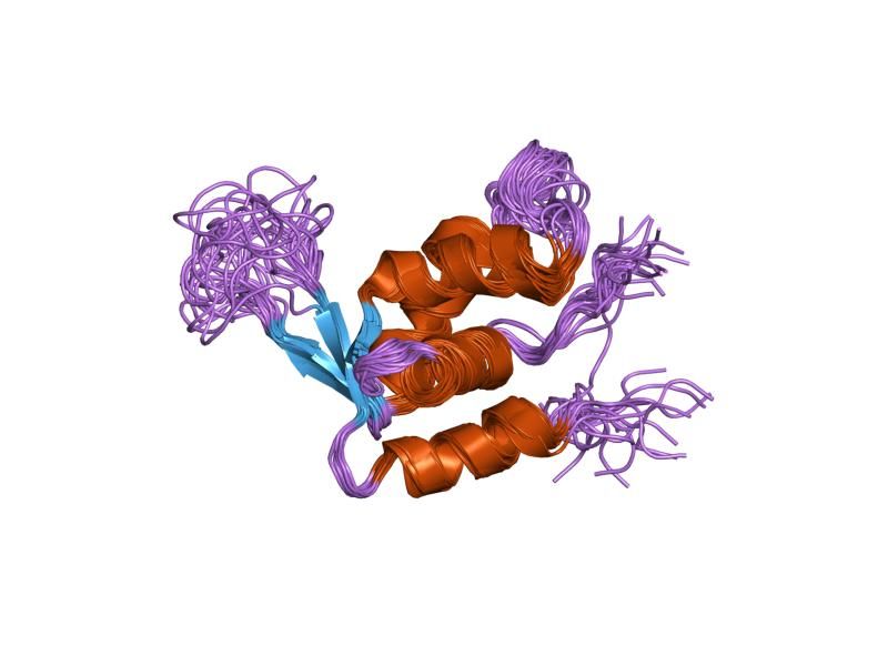 File:PDB 1jxs EBI.jpg