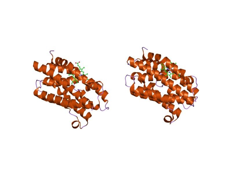 File:PDB 1oyk EBI.jpg