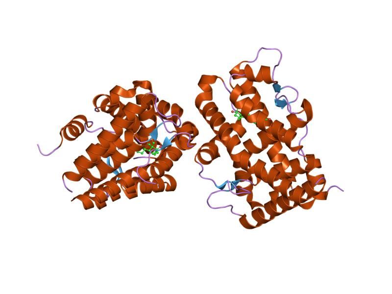 File:PDB 1sqn EBI.jpg