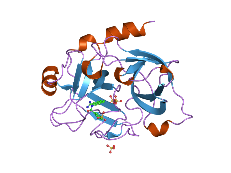 File:PDB 1zrk EBI.png