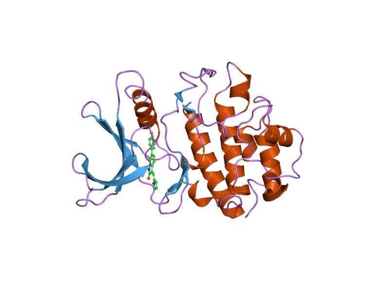 File:PDB 2ayp EBI.jpg