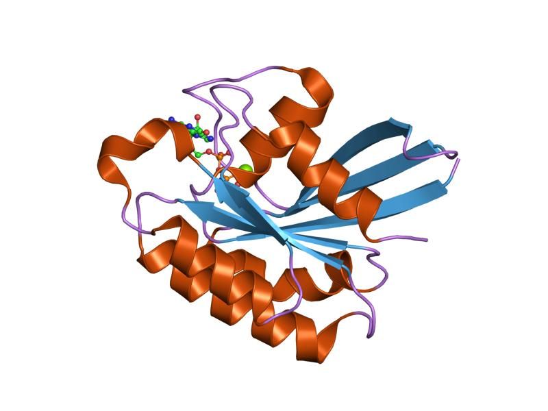 File:PDB 2fg5 EBI.jpg