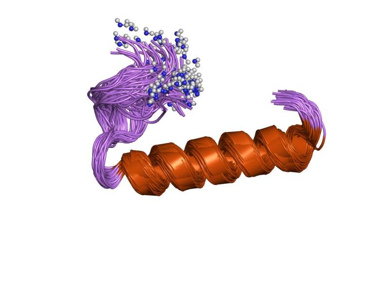 File:PDB 2glh EBI.jpg