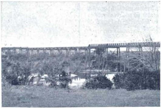 File:Puente sobre el Río San Jose.jpg