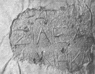 File:Royal inscription Palmyra.png