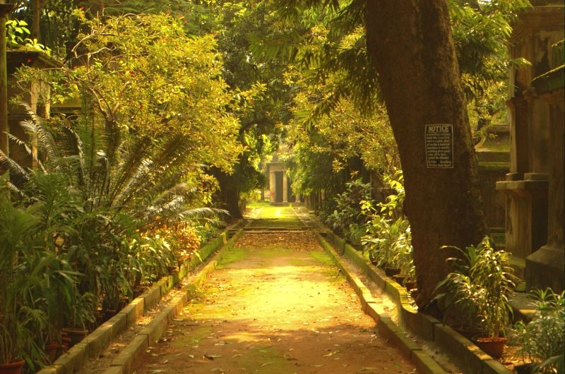 File:South-Park-Street-Cemetery-5.jpg