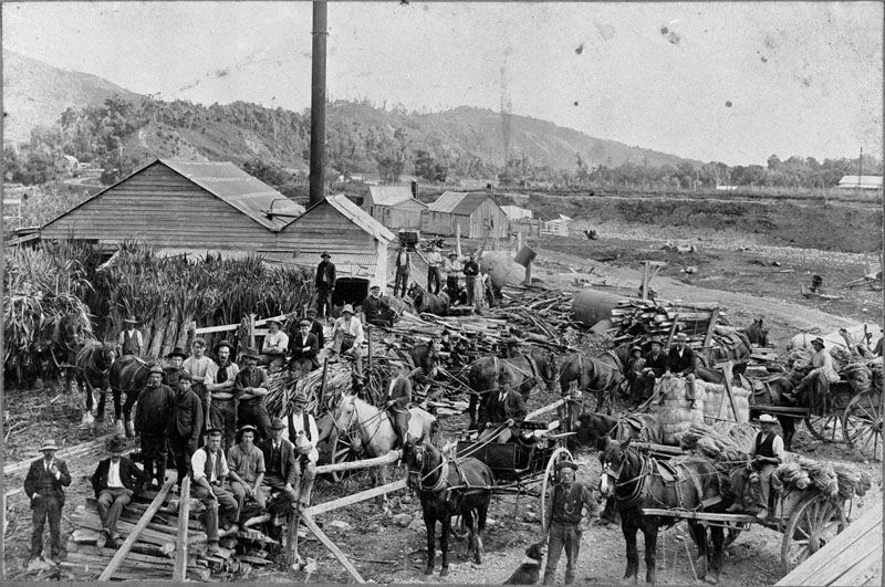 File:Stansells' flaxmill, waikanae.jpg