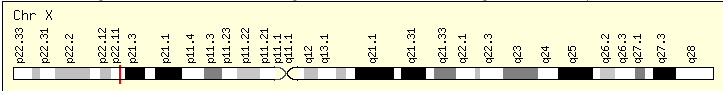 File:ACOT9 Location on Chromosome X.png