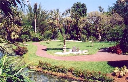 File:Cypress Gardens Arecaceae.jpg