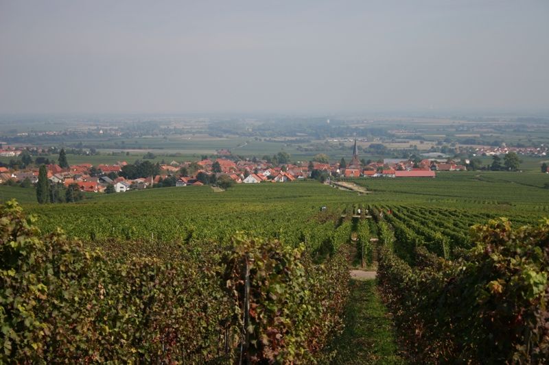 File:DE76835.RhodtUnterRietburg.ViewFromWeyher.jpg