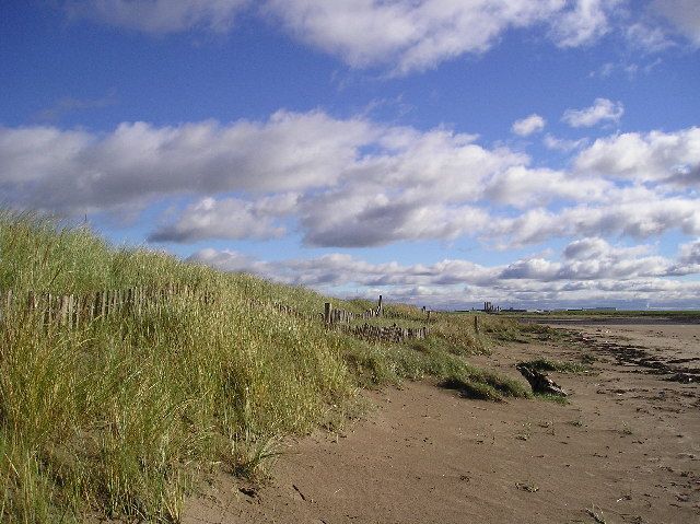 File:Dunes - geograph.org.uk - 64810.jpg