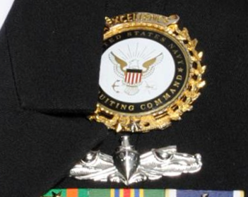 File:Example-Navy Recruiting Command Gold Wreath Award.png