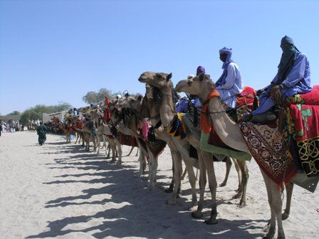 File:Nguigmi niger camel riders welcome 2009.JPG