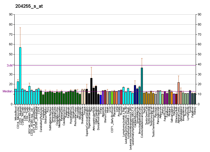 File:PBB GE VDR 204255 s at fs.png