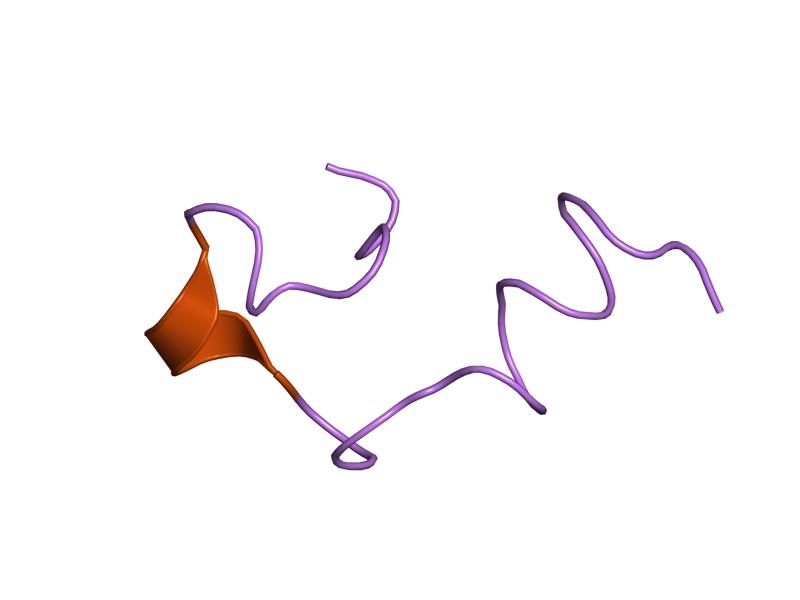 File:PDB 1eds EBI.jpg