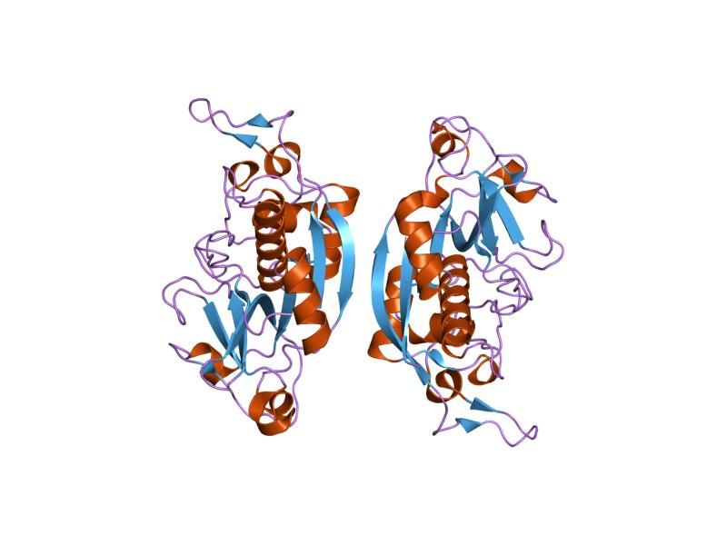 File:PDB 1ef7 EBI.jpg