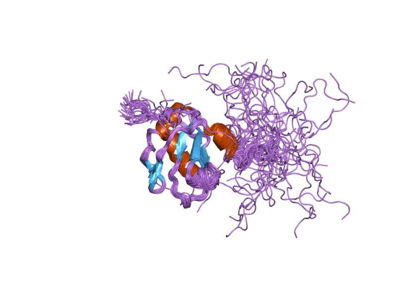 File:PDB 1fht EBI.jpg