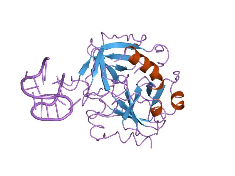 File:PDB 1hap EBI.jpg