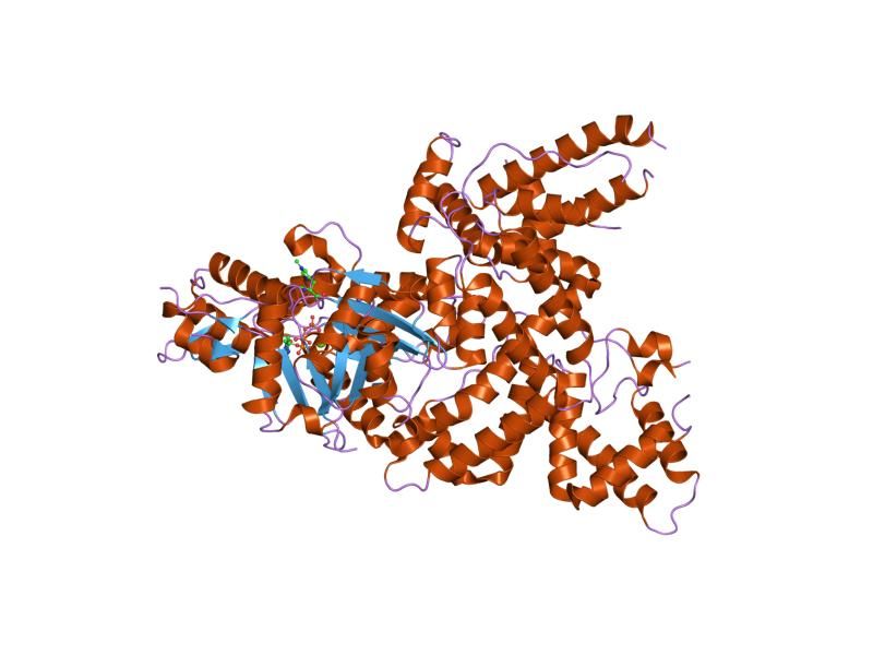 File:PDB 1ma9 EBI.jpg