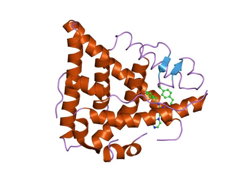 File:PDB 1nde EBI.jpg