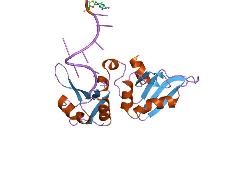 File:PDB 1pgz EBI.jpg