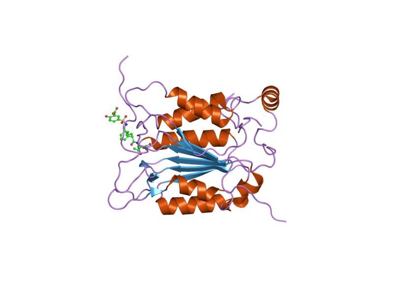 File:PDB 1rwv EBI.jpg