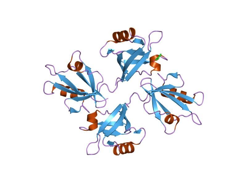 File:PDB 1w9o EBI.jpg