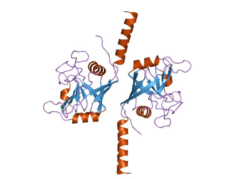 File:PDB 1zkc EBI.jpg