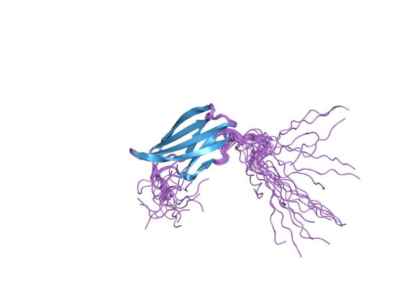 File:PDB 2cuh EBI.jpg