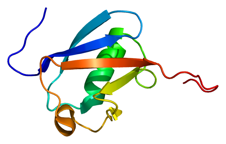 File:Protein OASL PDB 1wh3.png