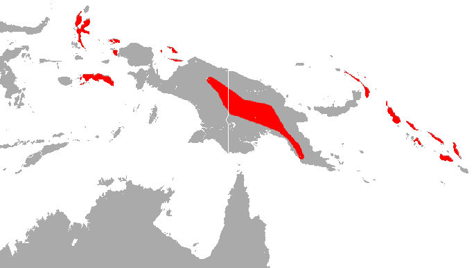 File:Raffray's Sheath-Tailed Bat area.png