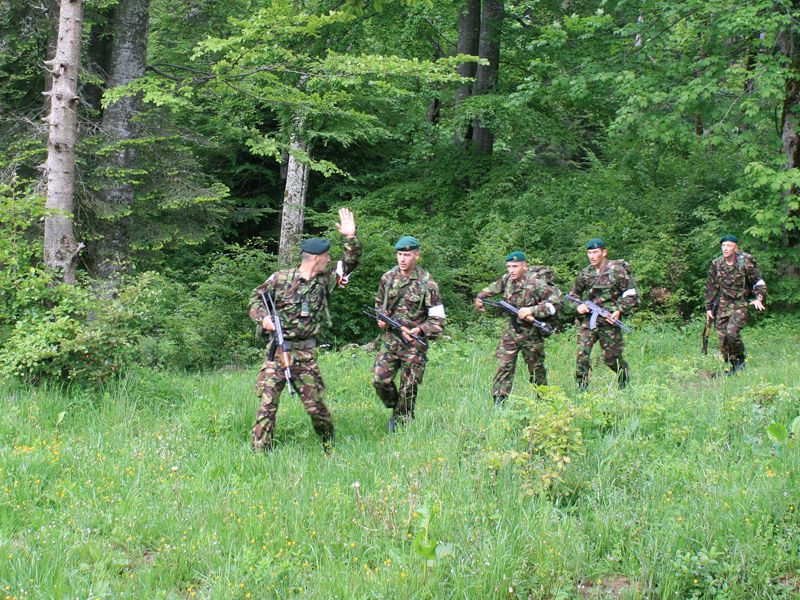 File:Romanian Mountain Troops 3.jpg