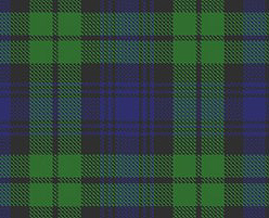 File:Tartan Clan Campbell.png