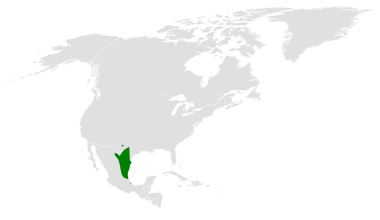 File:Baeolophus atricristatus distribution map.png