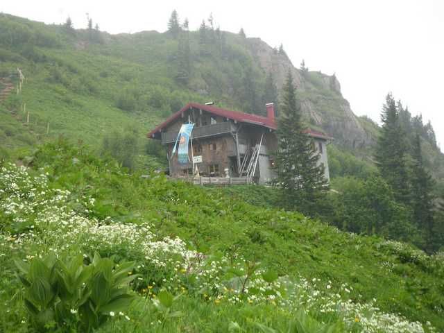 File:Hochgrat bei Oberstaufen.jpg