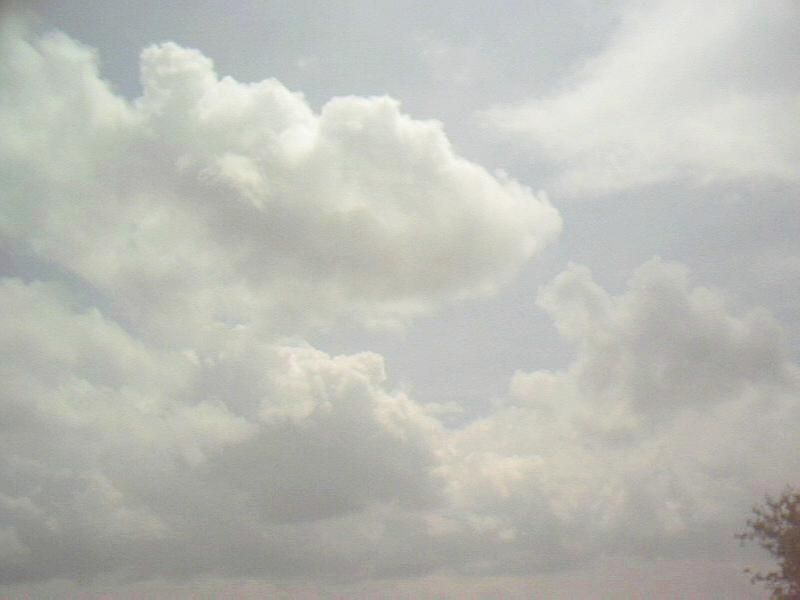 File:Low cumulus clouds.jpg