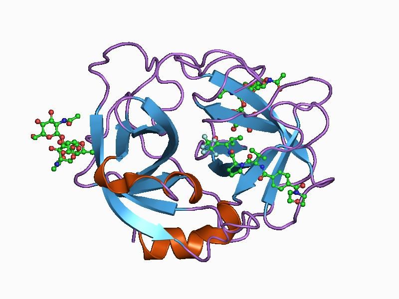 File:PDB 1b0f EBI.jpg